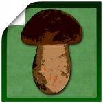 Справочник грибника – программа для Андроид, которая помогает правильно распознать найденный в лесу гриб, определяя: съедобен он или нет