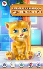 Talking Ginger (Говорящий Рыжик) - игра на Андроид, где милый рыжий котик любит поиграть не только с детьми, но и с взрослыми